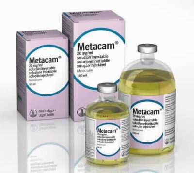 Metacam 20 Mg/ml Iny 12 X 100 Ml