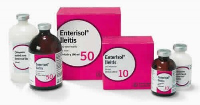 Enterisol Ileitis 20 Ml (10 D)