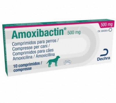 Amoxibactin 500, 10 Comp