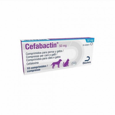 tímido Prevención lealtad Cefabactin 50 Mg 10 Tabs