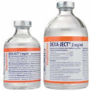 Dexa-ject 2 Mg/ml 100ml