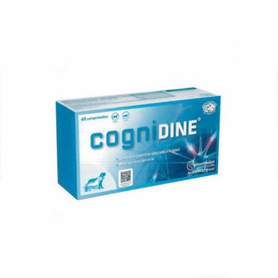 Cognidine 60 Cp