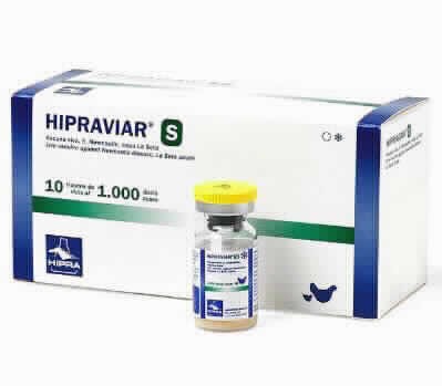 Disolvente Hipraviar S 1000x10