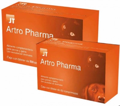 Artro Pharma 300 Cp (jt)