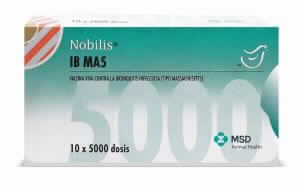 Nobilis Ib Ma5 Shp 12x5000 D