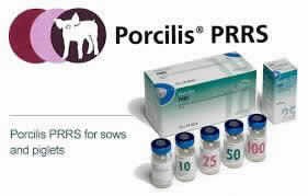 Porcilis Prrs Idal 500d (5v+5v)
