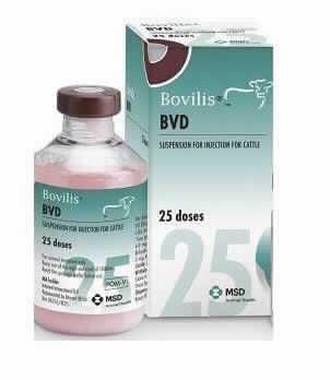 Bovilis Bvd 50 Ml (25 D)