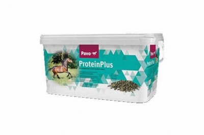 Pavo Protein Plus 7 Kg
