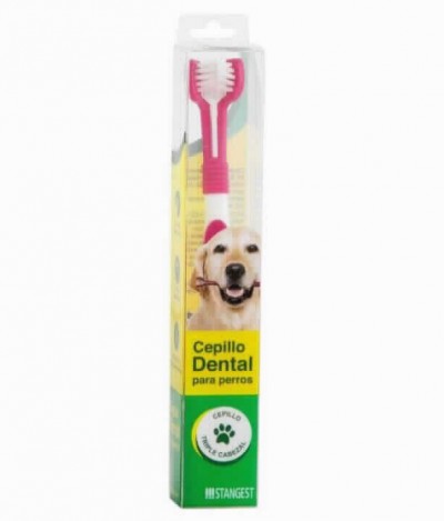 Cepillo Dental En Estuche