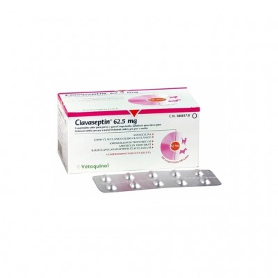 Clavaseptin 62,5 Mg 100 Comp