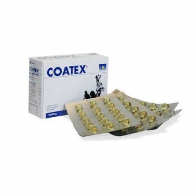 Coatex 240 Caps (4x60)