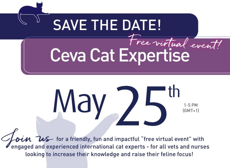 Evento Virtual Cat Expertise
