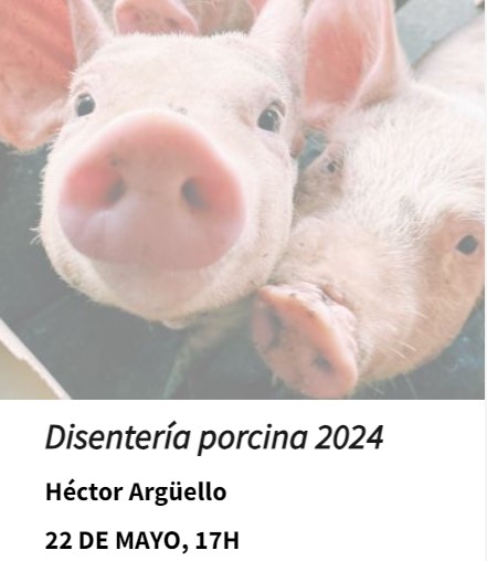 El Veterinario como gestor económico de la empresa porcina