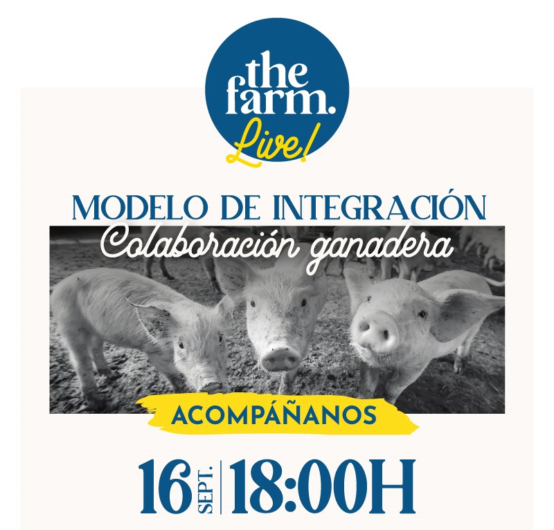 The Farm regresa con el evento digital más esperado, los webinars del sector porcino