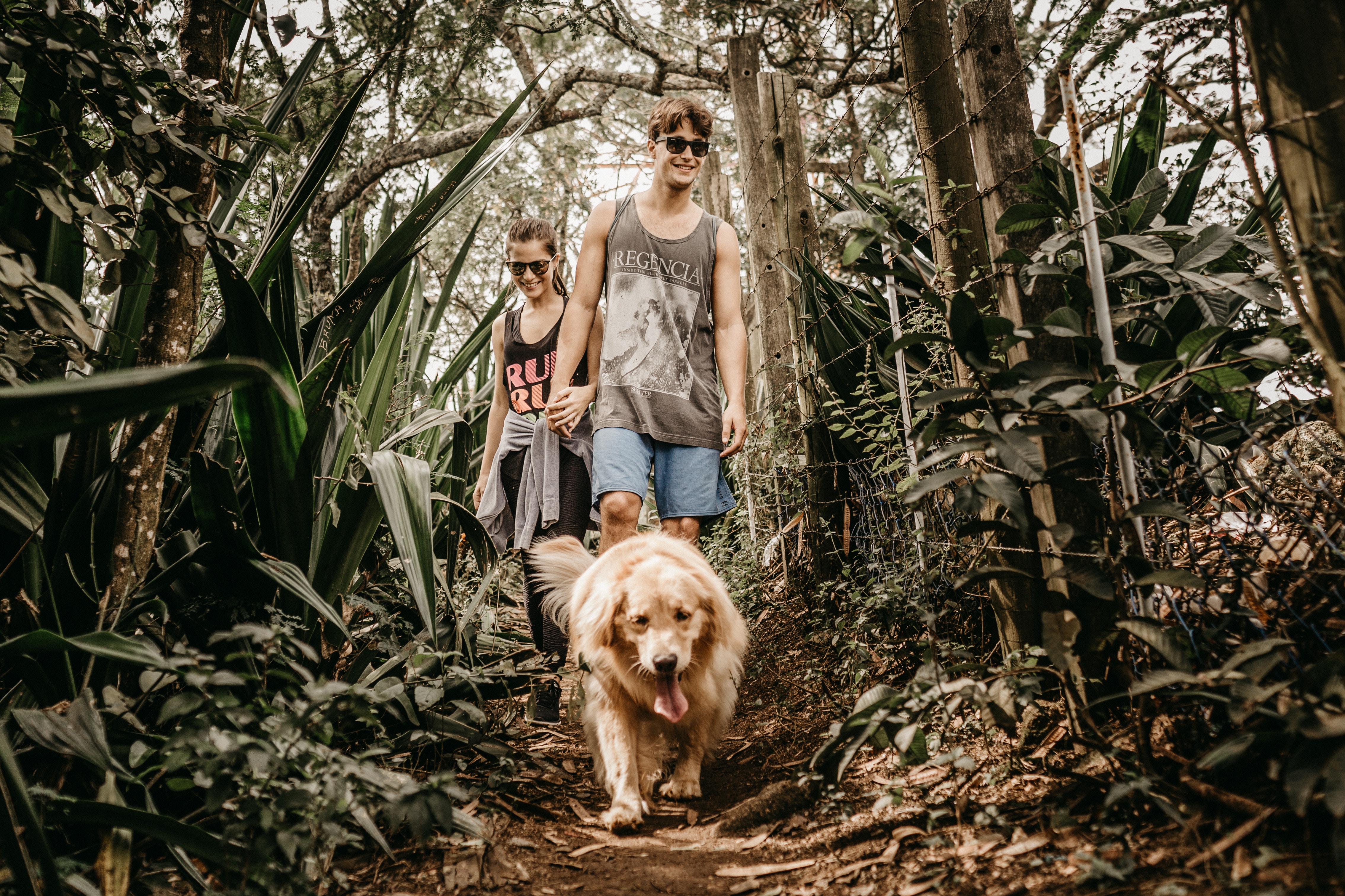 Consejos y precauciones para hacer del paseo por la montaña un auténtico placer con tu perro