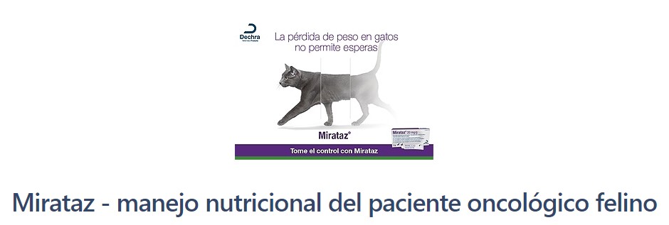 Mirataz - manejo nutricional del paciente oncológico felino
