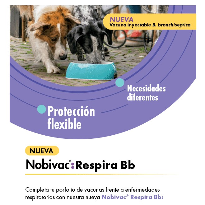 Necesidades diferentes, protección flexible, frente al complejo respiratorio infeccioso canino (CIRD)