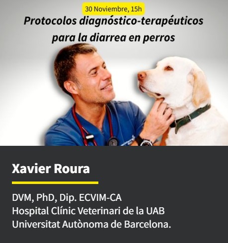 Protocolos diagnóstico-terapéuticos para la diarrea en perros
